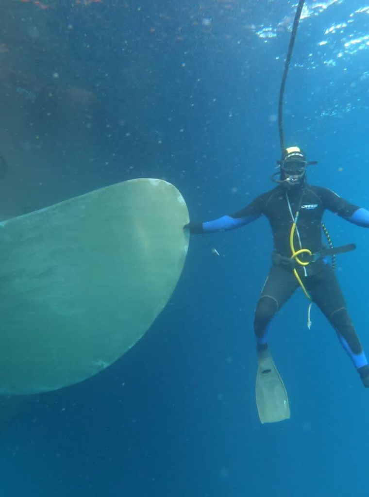 WhatsApp Image 2023-05-24 at 17.40.23 (1) WhatsApp Image 2023-05-24 at 17.40.23 (1)